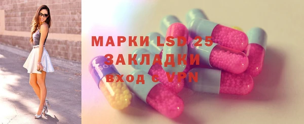 ПСИЛОЦИБИНОВЫЕ ГРИБЫ Алексин
