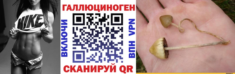 Галлюциногенные грибы Magic Shrooms  blacksprut как зайти  Александровское 